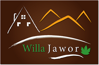 You are currently viewing Willa Jawor